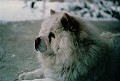IMG_0012