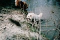 IMG_0021