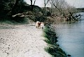 IMG_0022