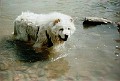 IMG_0007