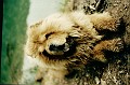 200305_BH_Vida