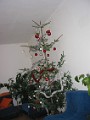 20090110_Acasa_Iarna