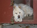 IMG_6092