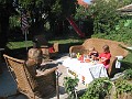 IMG_0353