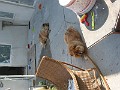 IMG_0355