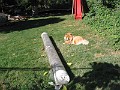 IMG_0383