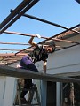 IMG_0428