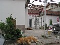 IMG_0445