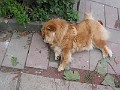 IMG_0447