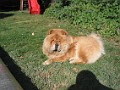 20120903_Casa