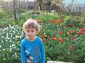 IMG_0956