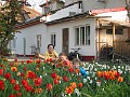 IMG_0966
