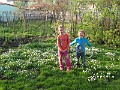 IMG_0968
