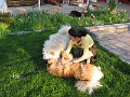 IMG_0972