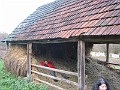 IMG_1837