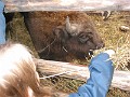 IMG_1846