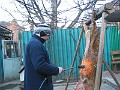 IMG_1881