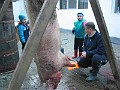 IMG_1885