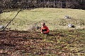 IMG_0280