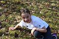 IMG_0281