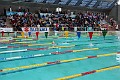 IMG_0592