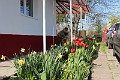 IMG_0625