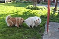 IMG_0640