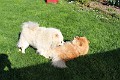 IMG_0647