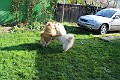 IMG_0661
