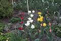 IMG_0783