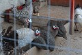 IMG_2305