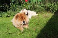 IMG_2456