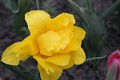 20140412_CS