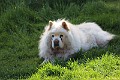 IMG_3238