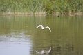 IMG_6476