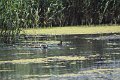 IMG_6486