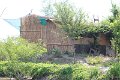 IMG_6539