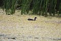 IMG_6591