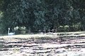 IMG_6619