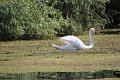 IMG_6653