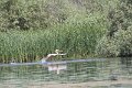 IMG_6807