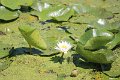 IMG_6893