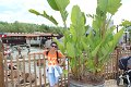 IMG_8775