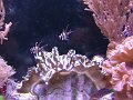 IMG_20170711_125204_BURST001_COVER