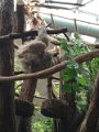 IMG_20170711_151845