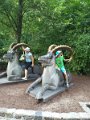 IMG_20170711_163302
