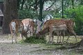 IMG_8911