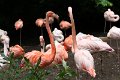 IMG_8940