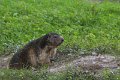 IMG_9059