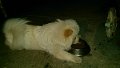 IMG_20180110_074129